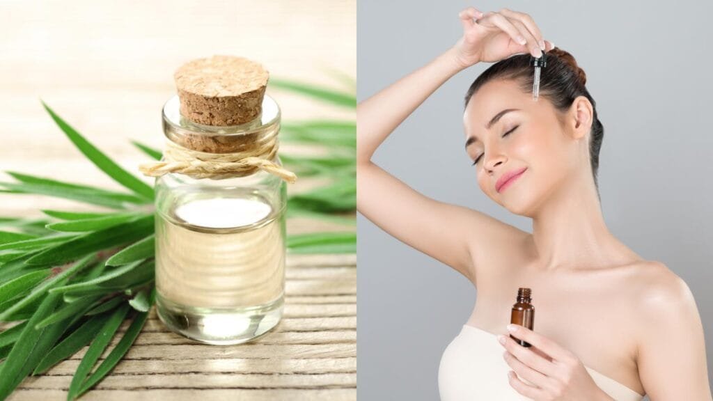 "Tea Tree Oil Benefits - Natural Skincare, Acne Treatment, Antibacterial Properties"