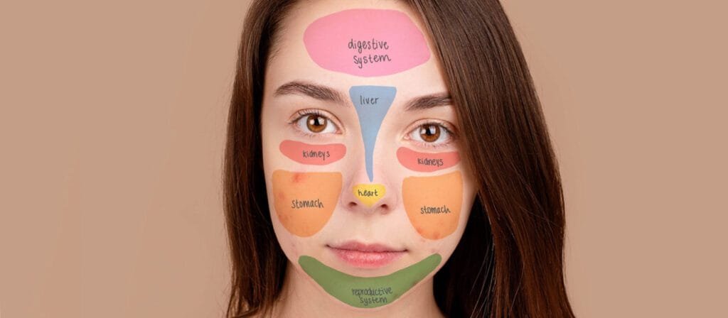"Face mapping diagram showing zones related to internal organs and skin health"