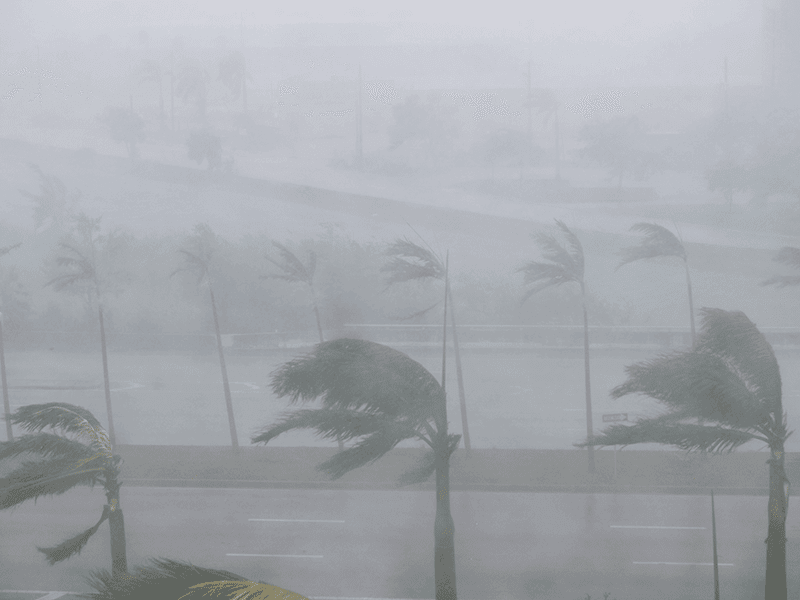 Milton's Maelstrom: Florida's Storm of the Century