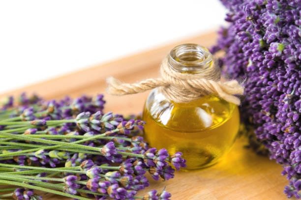 Unlock Calming Lavender Oil: Sleep Better Tonight